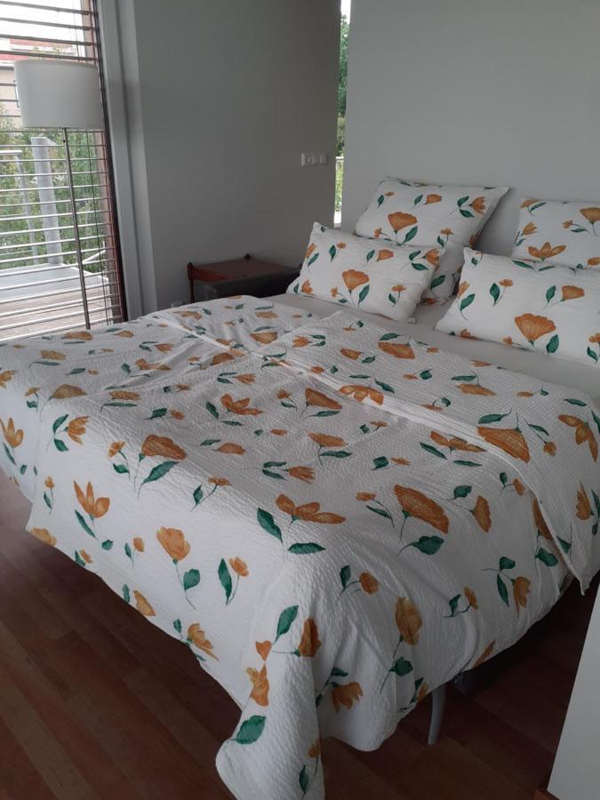 Lagrette Ferienwohnung Am Hainer See Neukieritzsch Dış mekan fotoğraf